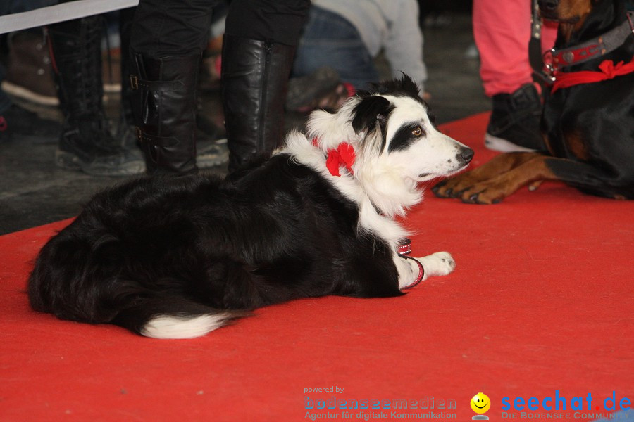 Hundemesse - Mein Hund 2012: Oberschwabenhalle: Ravensburg, 26.02.2012