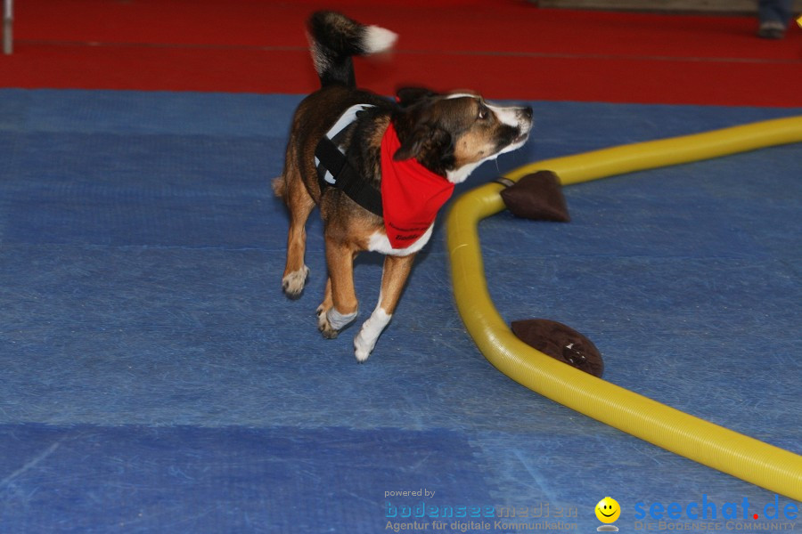 Hundemesse - Mein Hund 2012: Oberschwabenhalle: Ravensburg, 26.02.2012