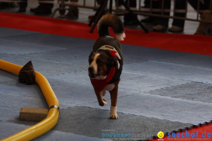 Hundemesse - Mein Hund 2012: Oberschwabenhalle: Ravensburg, 26.02.2012