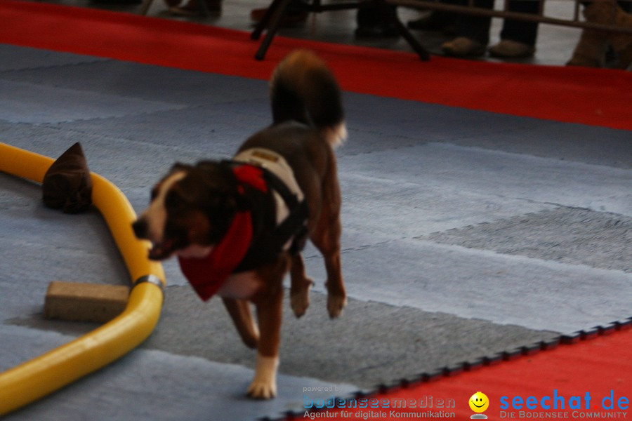 Hundemesse - Mein Hund 2012: Oberschwabenhalle: Ravensburg, 26.02.2012