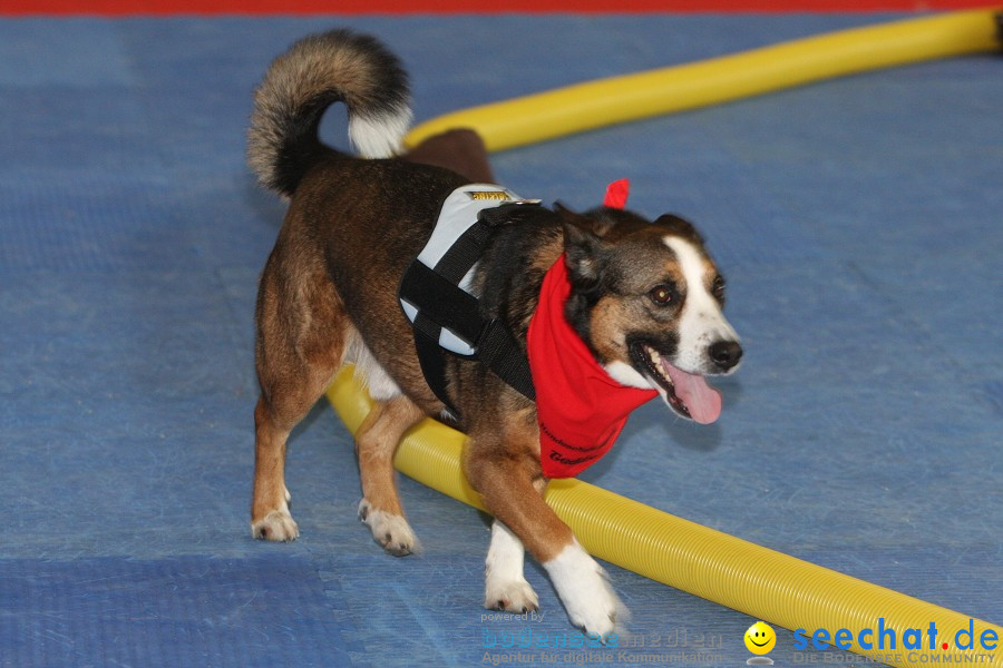 Hundemesse - Mein Hund 2012: Oberschwabenhalle: Ravensburg, 26.02.2012