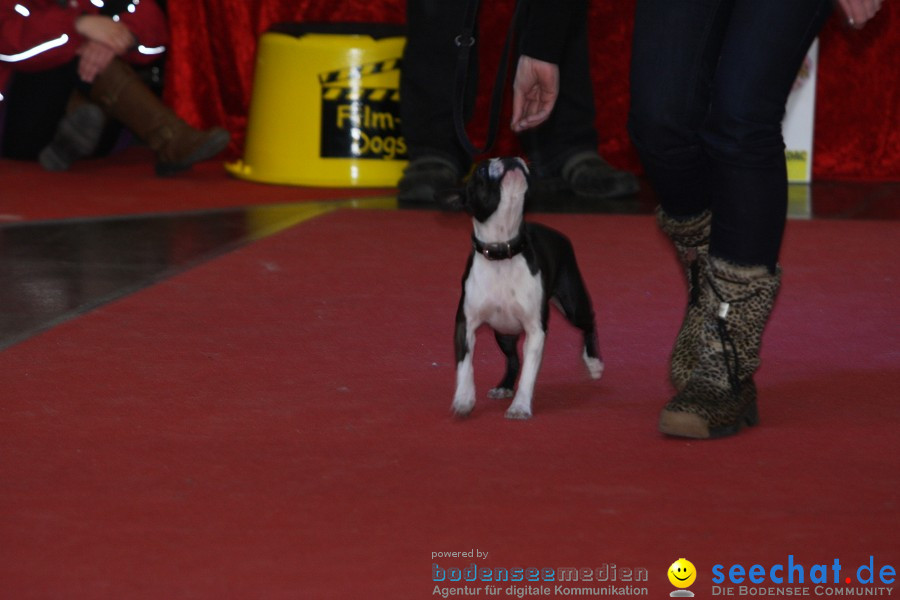 Hundemesse - Mein Hund 2012: Oberschwabenhalle: Ravensburg, 26.02.2012