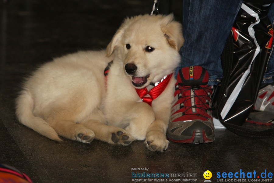 Hundemesse - Mein Hund 2012: Oberschwabenhalle: Ravensburg, 26.02.2012