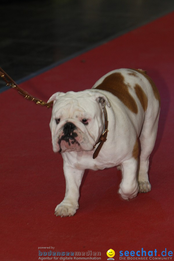 Hundemesse - Mein Hund 2012: Oberschwabenhalle: Ravensburg, 26.02.2012