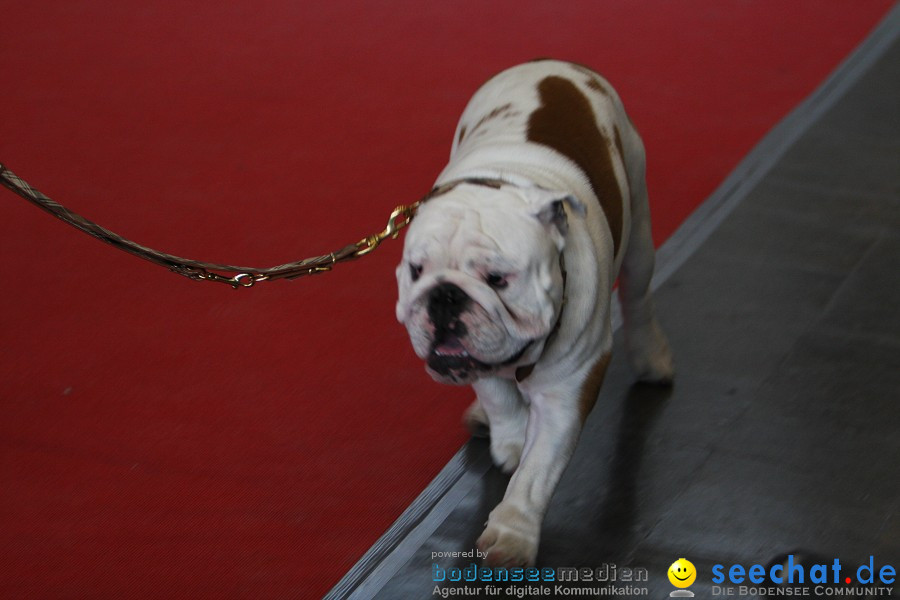 Hundemesse - Mein Hund 2012: Oberschwabenhalle: Ravensburg, 26.02.2012