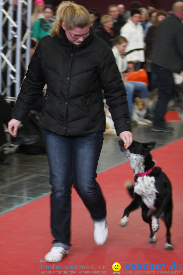 Hundemesse - Mein Hund 2012: Oberschwabenhalle: Ravensburg, 26.02.2012