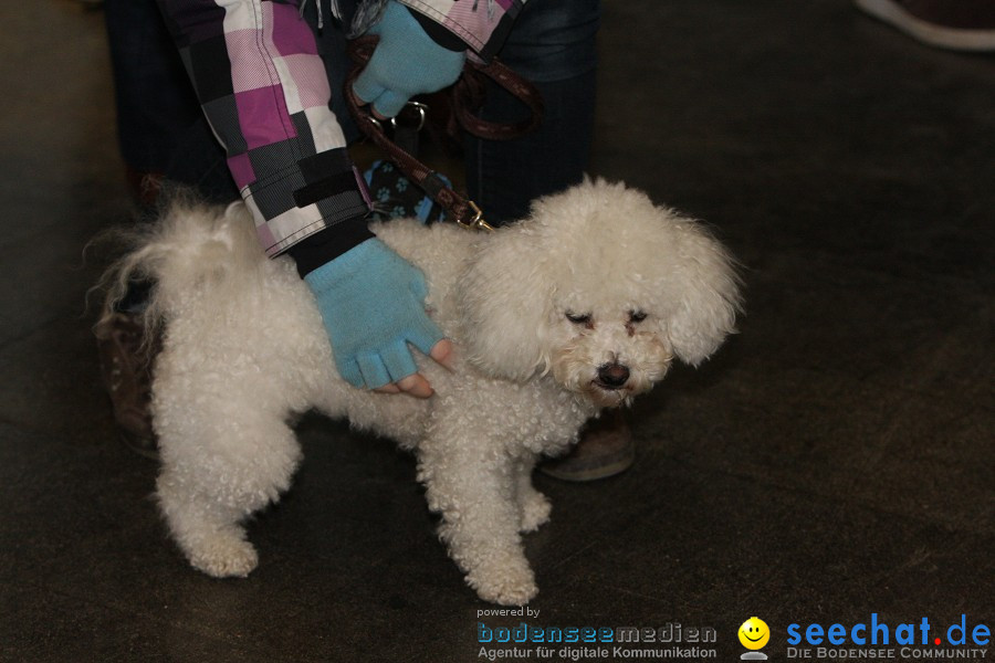 Hundemesse - Mein Hund 2012: Oberschwabenhalle: Ravensburg, 26.02.2012