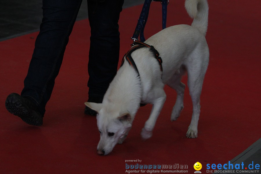 Hundemesse - Mein Hund 2012: Oberschwabenhalle: Ravensburg, 26.02.2012