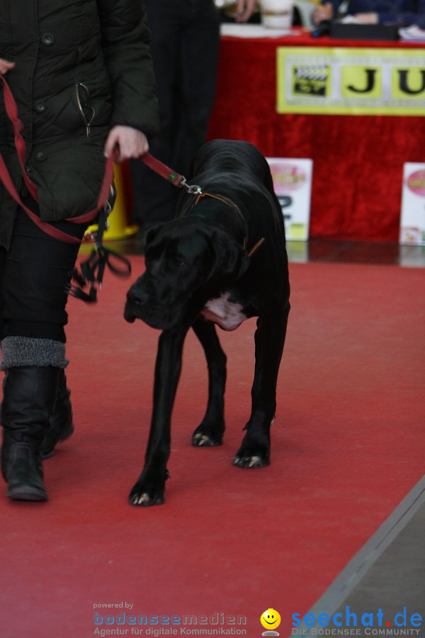 Hundemesse - Mein Hund 2012: Oberschwabenhalle: Ravensburg, 26.02.2012