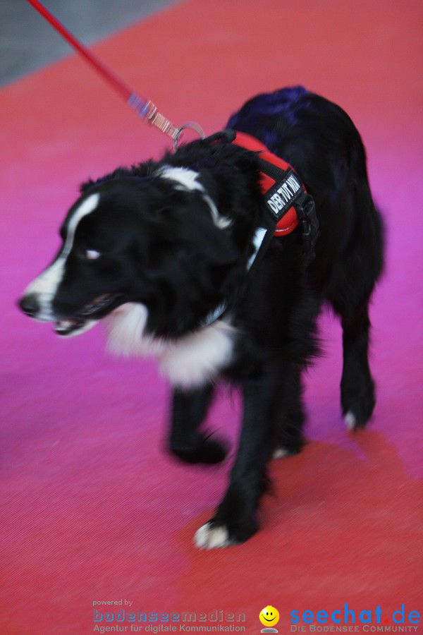 Hundemesse - Mein Hund 2012: Oberschwabenhalle: Ravensburg, 26.02.2012