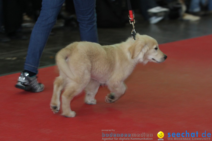 Hundemesse - Mein Hund 2012: Oberschwabenhalle: Ravensburg, 26.02.2012