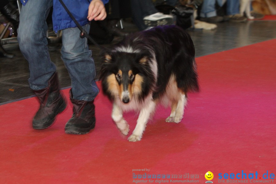 Hundemesse - Mein Hund 2012: Oberschwabenhalle: Ravensburg, 26.02.2012