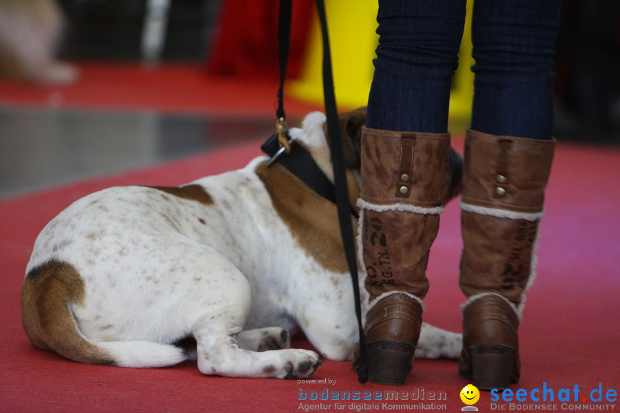 Hundemesse - Mein Hund 2012: Oberschwabenhalle: Ravensburg, 26.02.2012