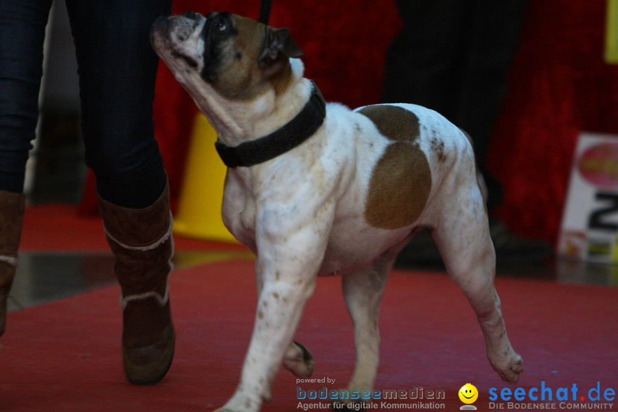 Hundemesse - Mein Hund 2012: Oberschwabenhalle: Ravensburg, 26.02.2012