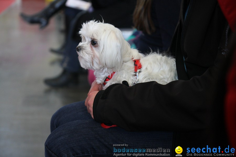 Hundemesse - Mein Hund 2012: Oberschwabenhalle: Ravensburg, 26.02.2012