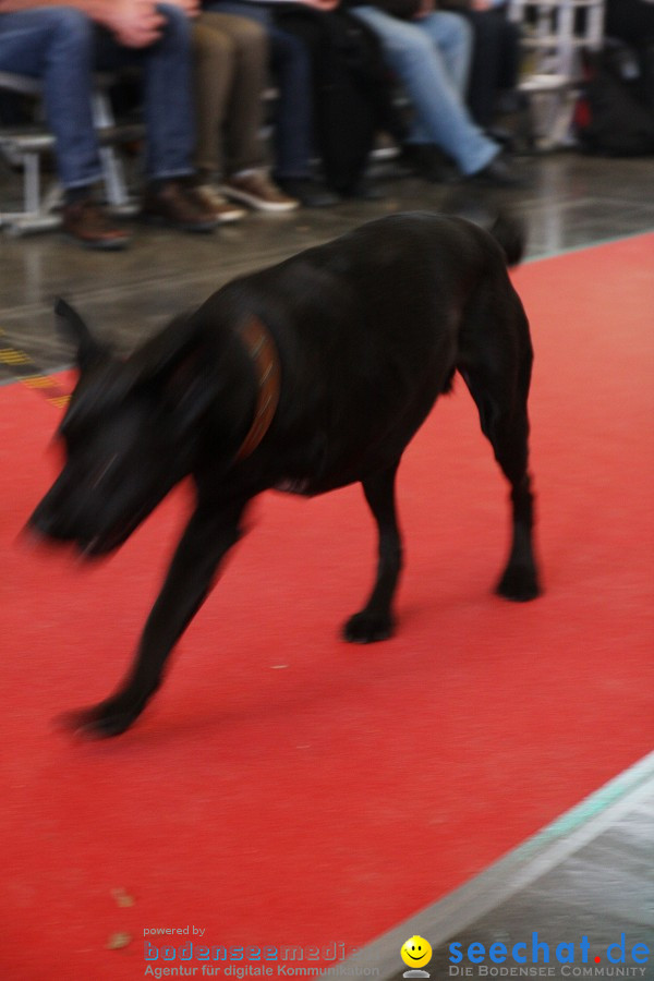 Hundemesse - Mein Hund 2012: Oberschwabenhalle: Ravensburg, 26.02.2012
