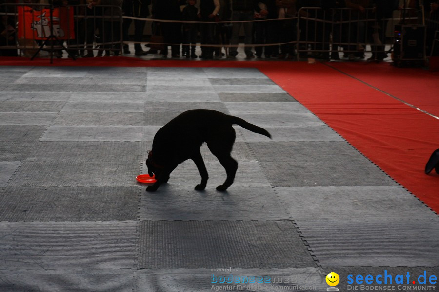 Hundemesse - Mein Hund 2012: Oberschwabenhalle: Ravensburg, 26.02.2012