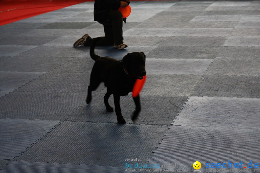 Hundemesse - Mein Hund 2012: Oberschwabenhalle: Ravensburg, 26.02.2012