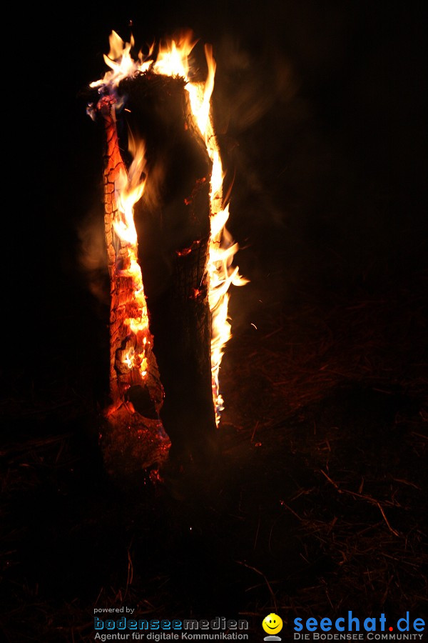 Funkenfeuer 2012: Ursaul am Bodensee, 26.02.2012