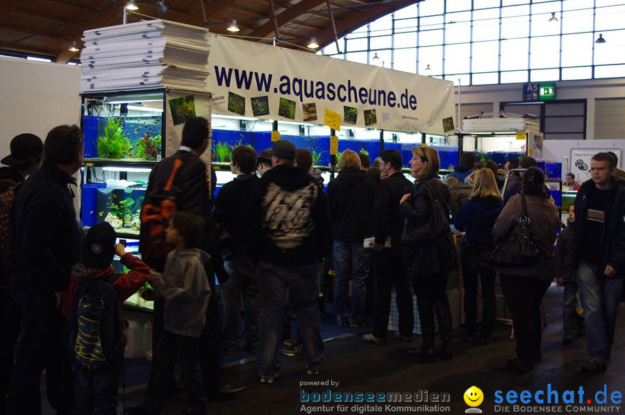 Aquafisch-Messe-Friedrichshafen-110312-Bodensee-Community-seechat_de-_75.JPG