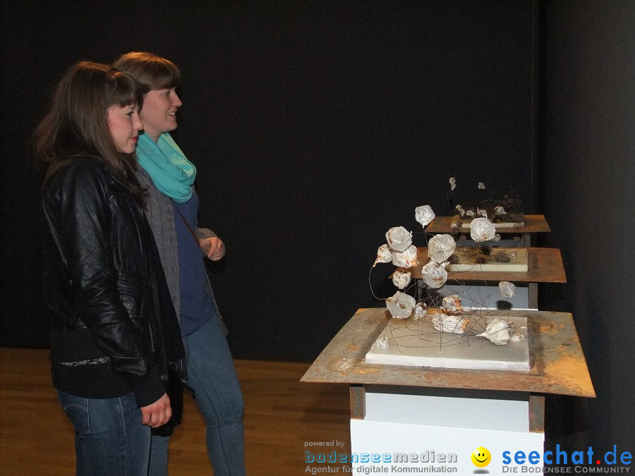 Vernissage: In den Raum: Biberach, 23.03.2012