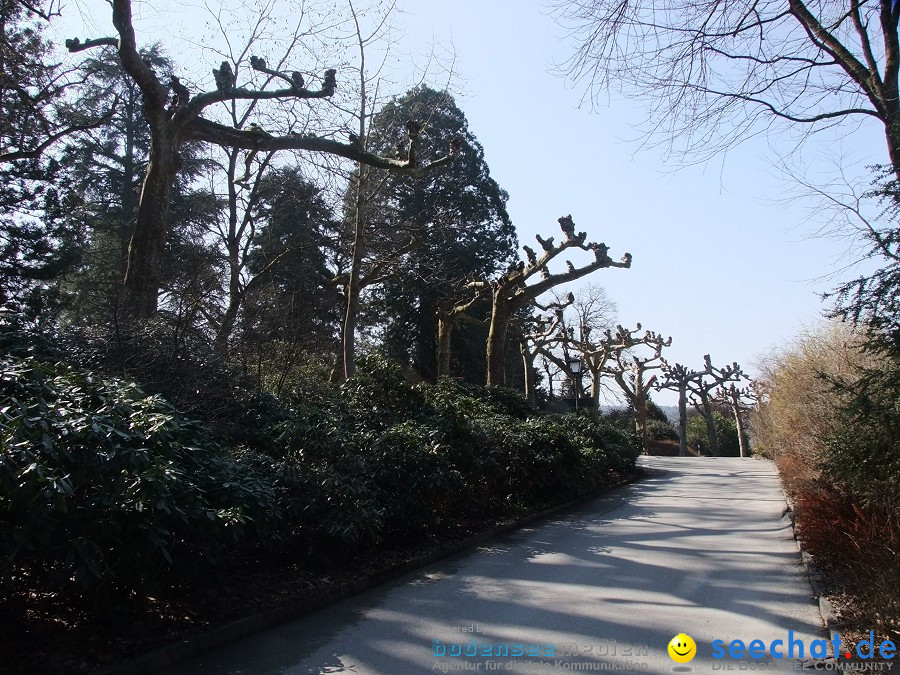 Insel-Mainau-23-03-2012-Bodensee-Community-SEECHAT_DE-_03.JPG