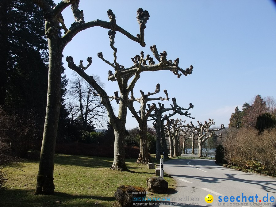 Insel-Mainau-23-03-2012-Bodensee-Community-SEECHAT_DE-_04.JPG