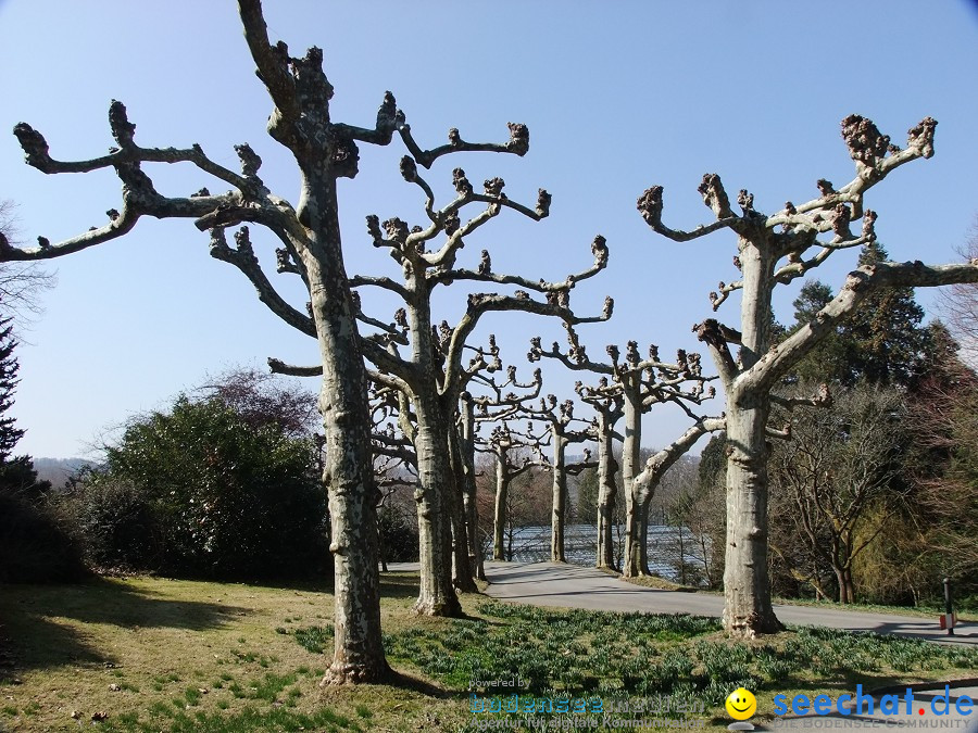 Insel-Mainau-23-03-2012-Bodensee-Community-SEECHAT_DE-_05.JPG