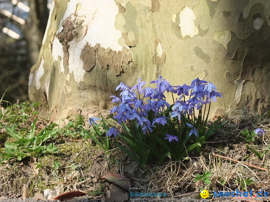 Insel-Mainau-23-03-2012-Bodensee-Community-SEECHAT_DE-_07.JPG