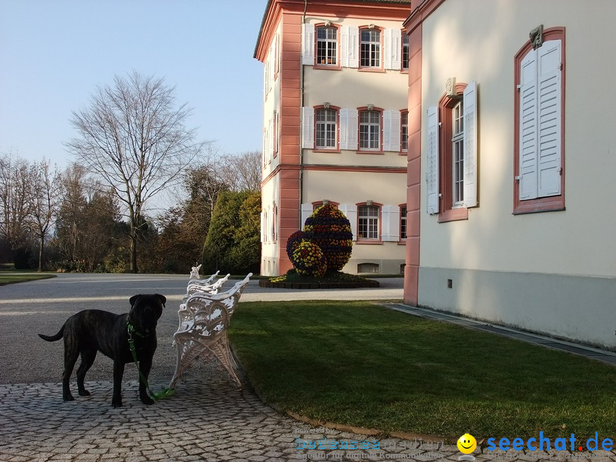 Insel-Mainau-23-03-2012-Bodensee-Community-SEECHAT_DE-_14.JPG