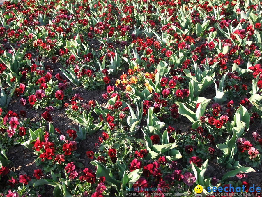 Insel-Mainau-23-03-2012-Bodensee-Community-SEECHAT_DE-_148.JPG