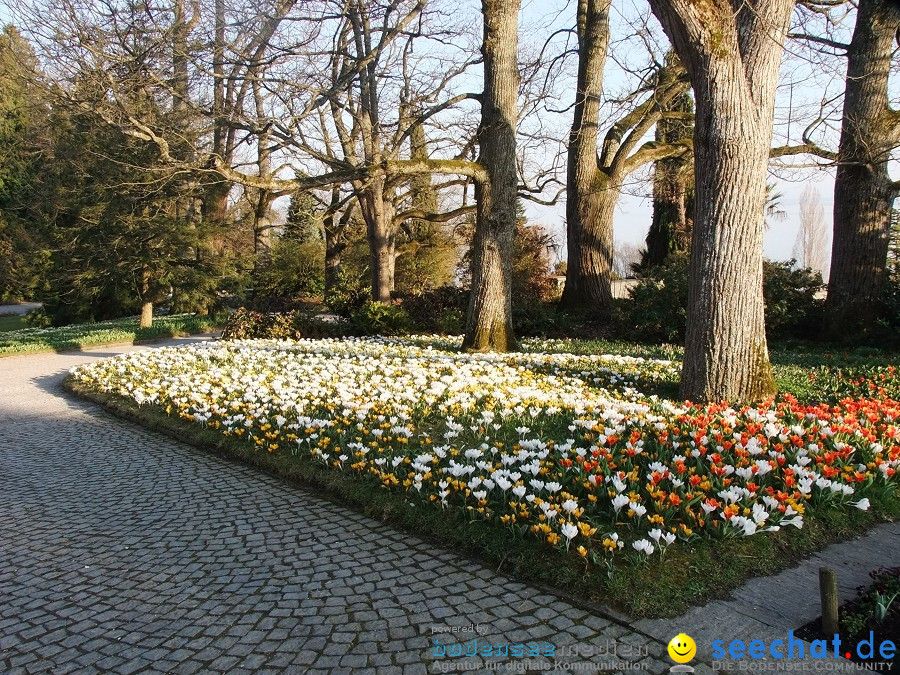 Insel-Mainau-23-03-2012-Bodensee-Community-SEECHAT_DE-_153.JPG