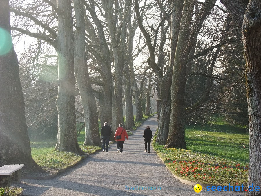 Insel-Mainau-23-03-2012-Bodensee-Community-SEECHAT_DE-_154.JPG