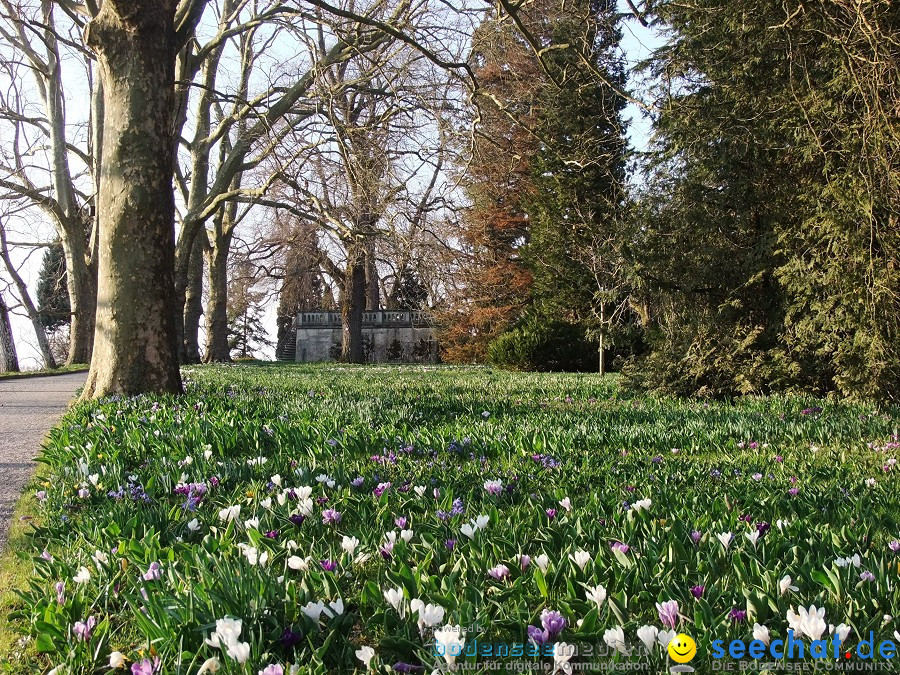 Insel-Mainau-23-03-2012-Bodensee-Community-SEECHAT_DE-_157.JPG