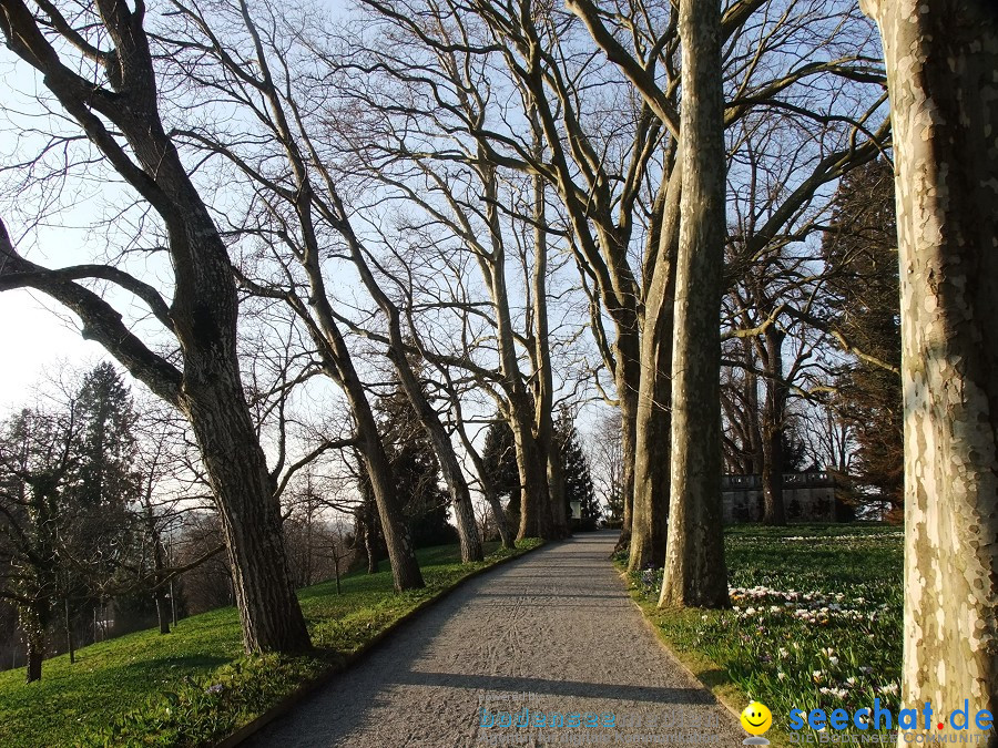 Insel-Mainau-23-03-2012-Bodensee-Community-SEECHAT_DE-_158.JPG