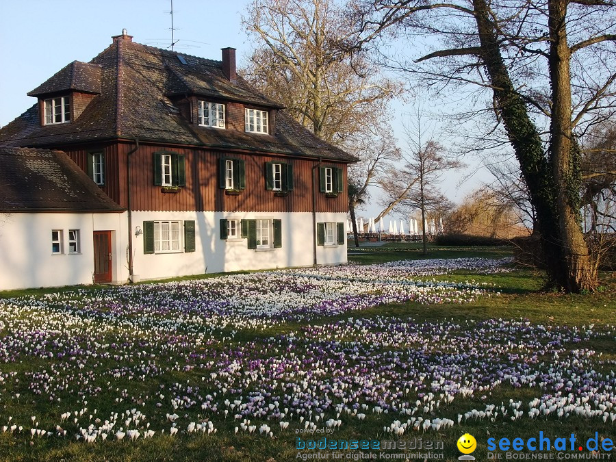 Insel-Mainau-23-03-2012-Bodensee-Community-SEECHAT_DE-_161.JPG