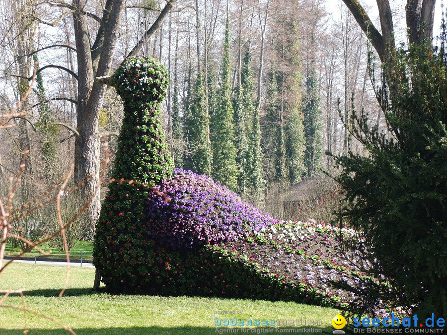 Insel-Mainau-23-03-2012-Bodensee-Community-SEECHAT_DE-_50.JPG