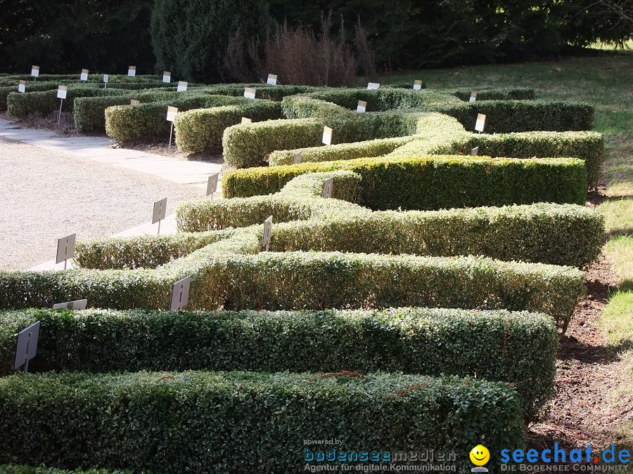 Insel-Mainau-23-03-2012-Bodensee-Community-SEECHAT_DE-_51.JPG