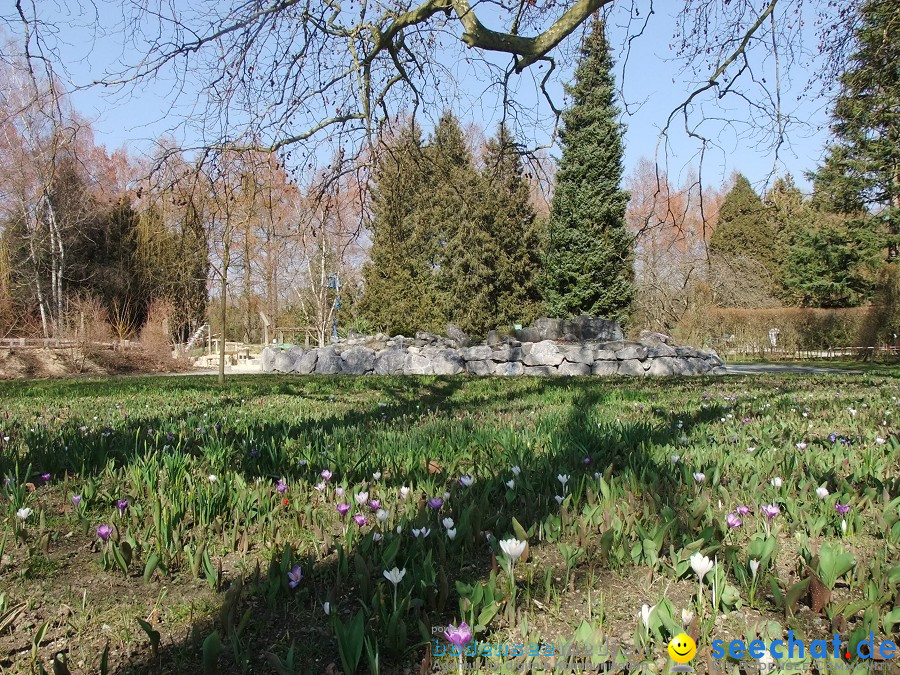 Insel-Mainau-23-03-2012-Bodensee-Community-SEECHAT_DE-_58.JPG