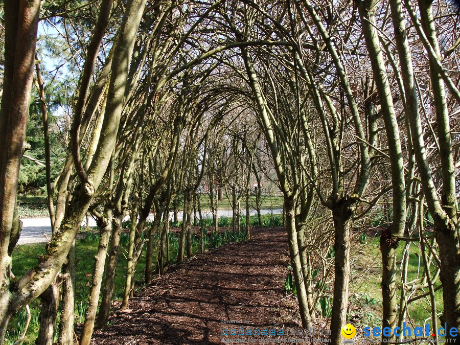 Insel-Mainau-23-03-2012-Bodensee-Community-SEECHAT_DE-_60.JPG