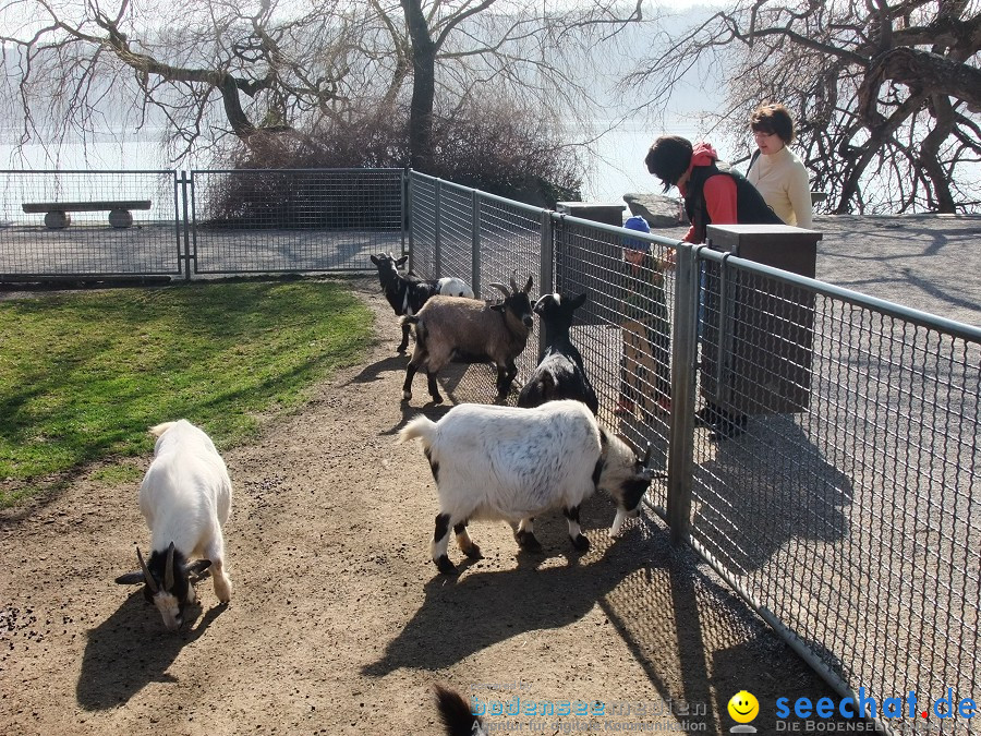 Insel-Mainau-23-03-2012-Bodensee-Community-SEECHAT_DE-_69.JPG