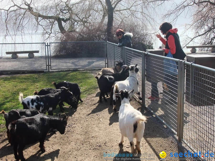 Insel-Mainau-23-03-2012-Bodensee-Community-SEECHAT_DE-_70.JPG