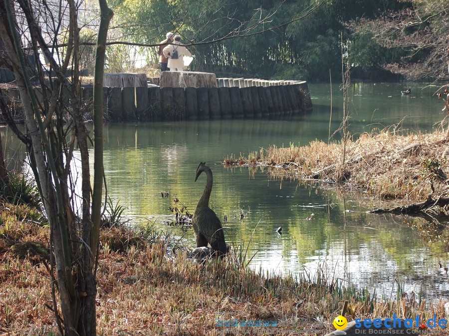 Insel-Mainau-23-03-2012-Bodensee-Community-SEECHAT_DE-_89.JPG