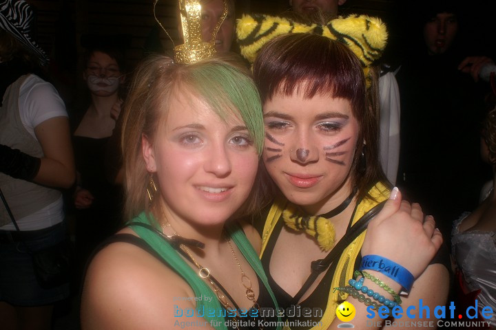 Stierball 2009