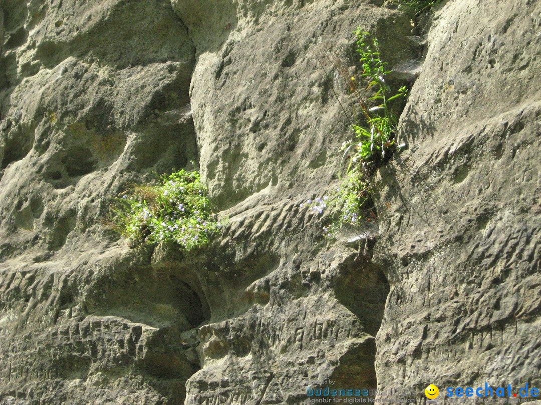 Marienschlucht: Bodman am Bodensee, 27.04.2012