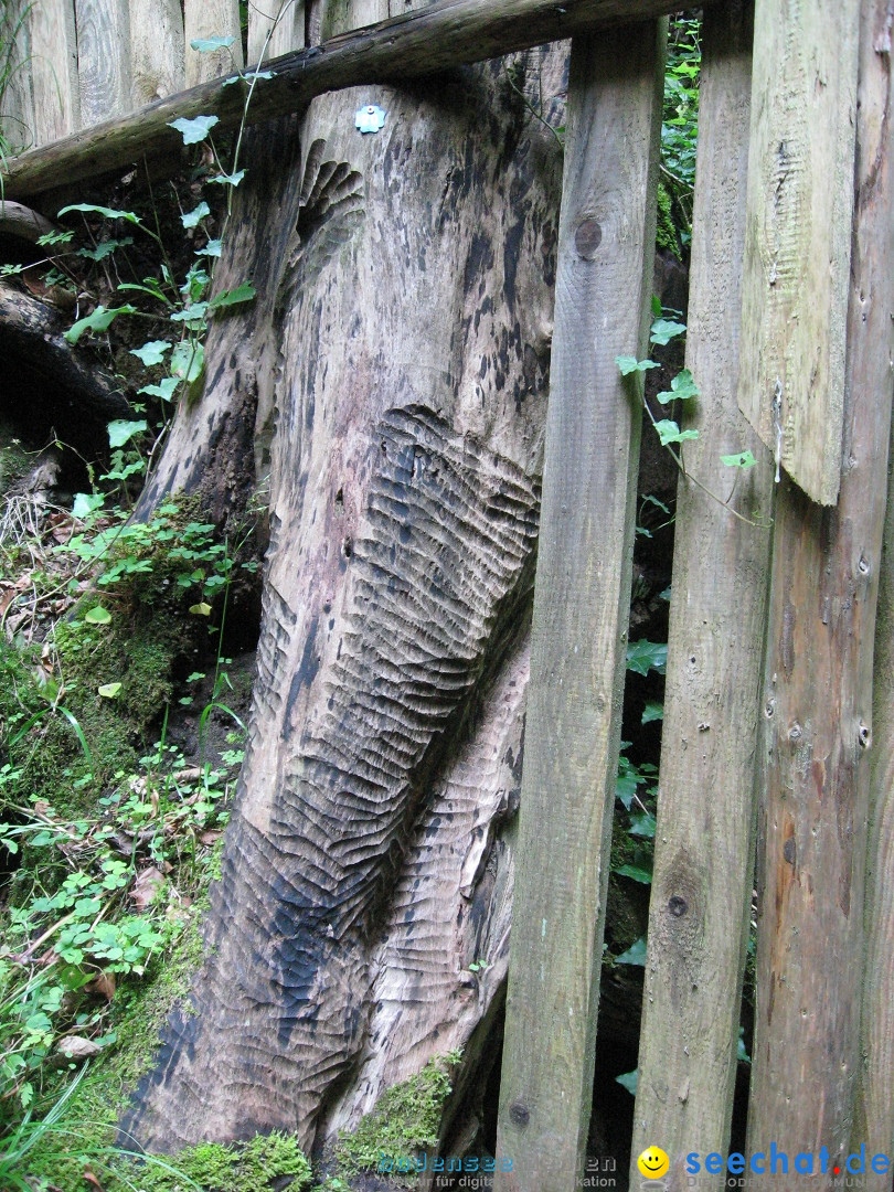 Marienschlucht: Bodman am Bodensee, 27.04.2012