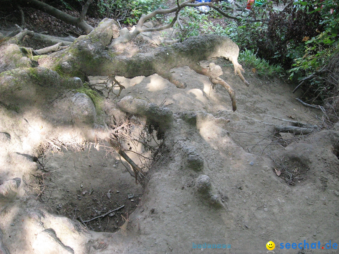 Marienschlucht: Bodman am Bodensee, 27.04.2012