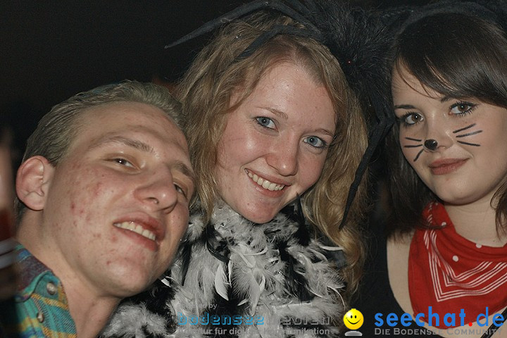 Stierball 2009