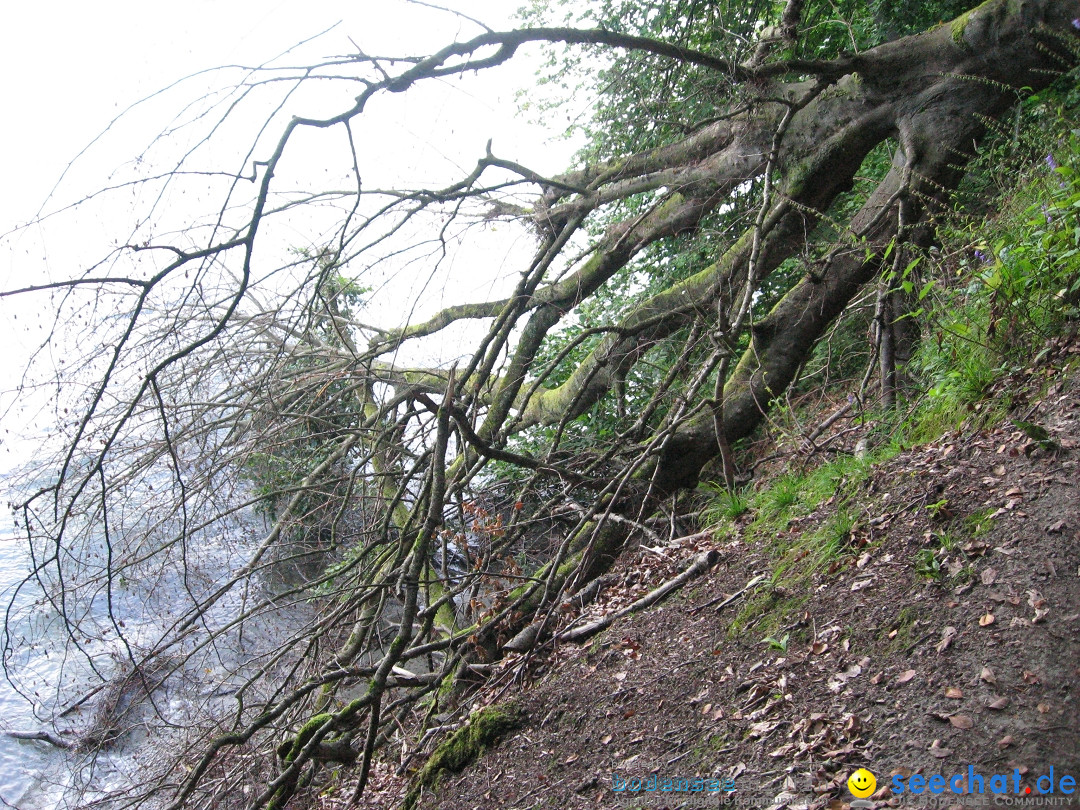 Marienschlucht: Bodman am Bodensee, 27.04.2012