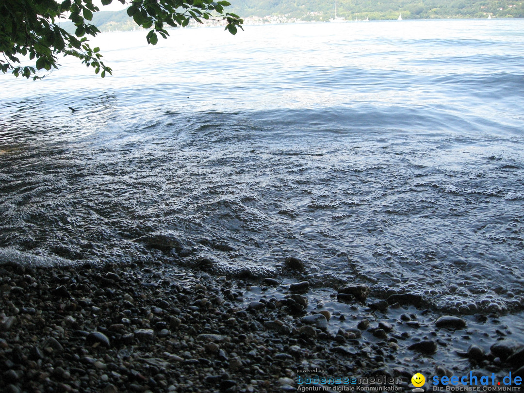 Marienschlucht: Bodman am Bodensee, 27.04.2012